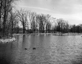 Historic Ottawa Park Toledo OH - Ottawa Park history Toledo - Ottawa Park historic photos Toledo - Frederick Olmsted park design Toledo 
OH ducks